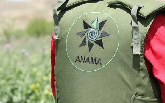 ANAMA