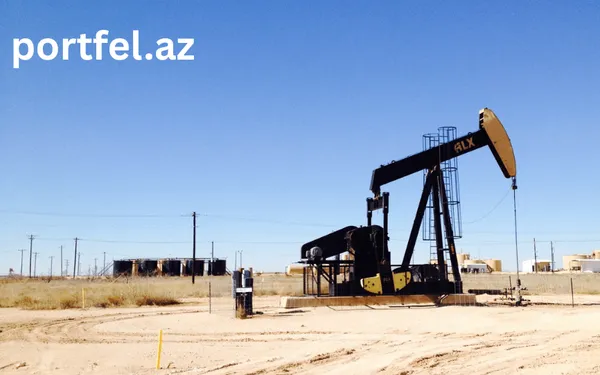 portfel.az_neft